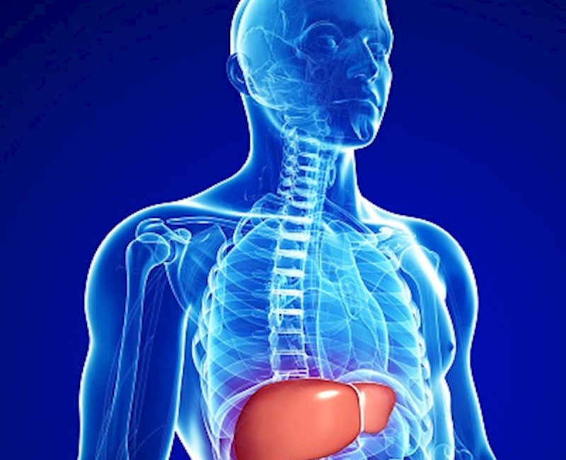 Ultrasound shows long-term liver injury in COVID-19 patients